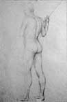 Standing Male Nude